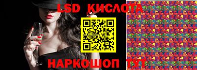 прущие грибы Ирбит