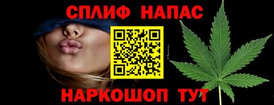 прущие грибы Ирбит