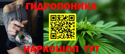 прущие грибы Ирбит