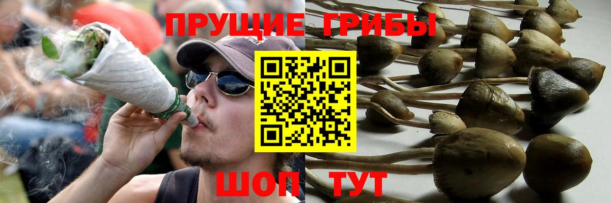 Псилоцибиновые грибы Psilocybine cubensis  Вход с VPN  Кулебаки  Галлюциногенные грибы ЛСД 